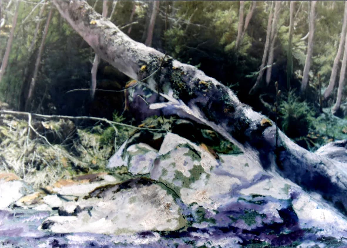 "Inverse Landschaft"